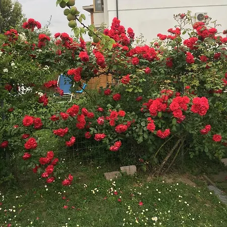 日月住宿加早餐旅馆